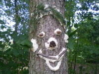 /album/fotogalerie/dscn3102-jpg/