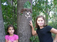 /album/fotogalerie/dscn3104-jpg/