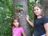 /album/fotogalerie/dscn3105-jpg/