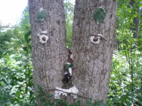 /album/fotogalerie/dscn3107-jpg/