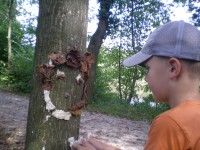 /album/fotogalerie/dscn3108-jpg/