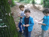 /album/fotogalerie/dscn3111-jpg/