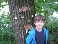 /album/fotogalerie/dscn3112-jpg/